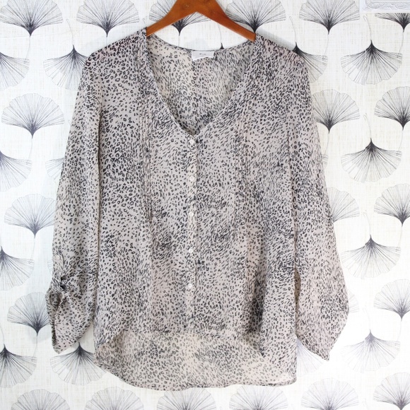 Pins and Needles Sheer Leopard Top - Picture 1 of 5
